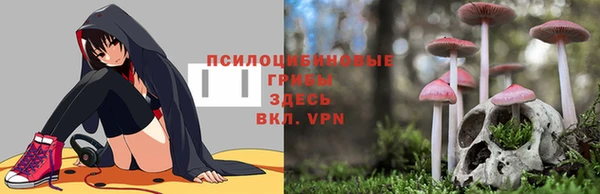 мяу мяу мука Протвино