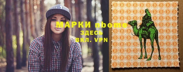 прущая мука Арсеньев